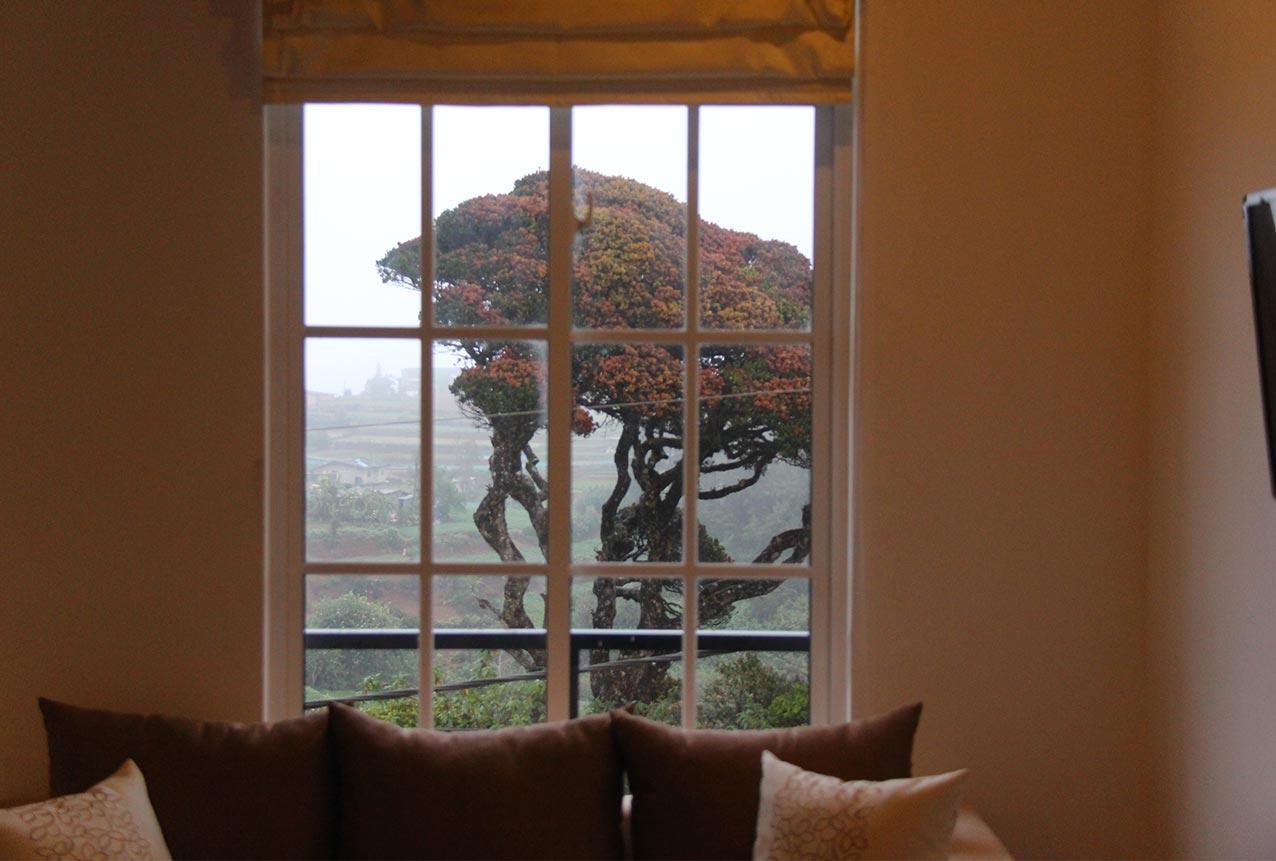 Tranquil Villa Nuwara Eliya Zewnętrze zdjęcie