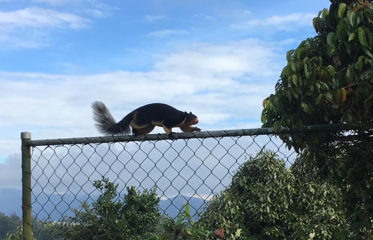 Tranquil Villa Nuwara Eliya Zewnętrze zdjęcie
